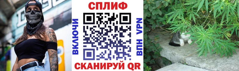 Где можно купить наркотики Далматово КОКАИН  Амфетамин  MEGA зеркало  ГАШИШ 
