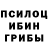 Псилоцибиновые грибы Psilocybine cubensis Lelerie Fox