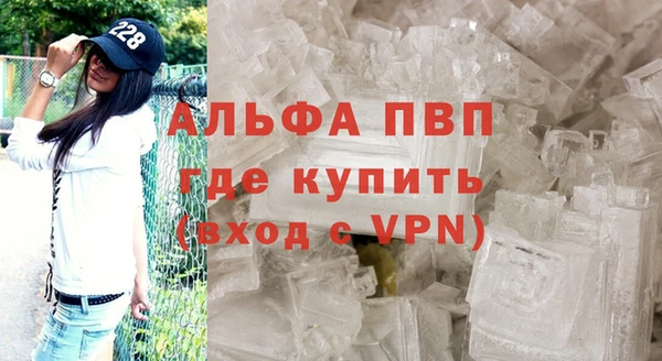 СК Медвежьегорск