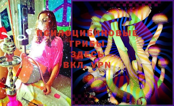 гашик Медногорск