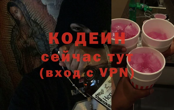 СК Медвежьегорск