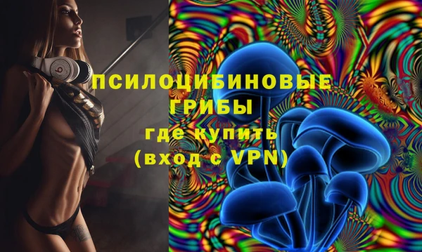 гашик Медногорск