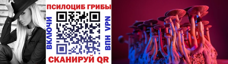 мега   Далматово  Псилоцибиновые грибы Psilocybine cubensis 